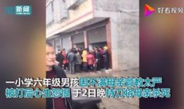 吴川小学爆料案件视频播放,真相究竟如何？